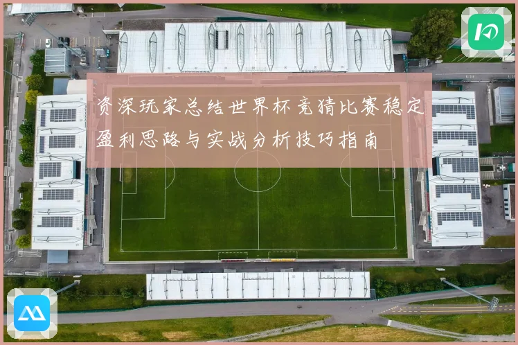 资深玩家总结世界杯竞猜比赛稳定盈利思路与实战分析技巧指南 ⚽